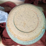Close-up of a textured round object with a blurred background